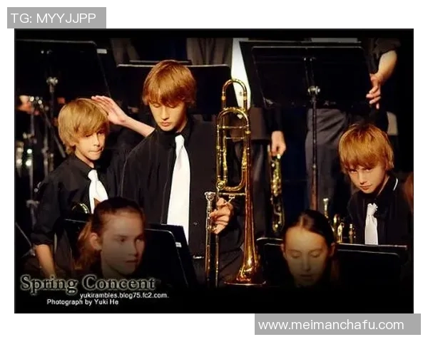 斯通斯乐队的传奇历程与音乐影响力深度解析